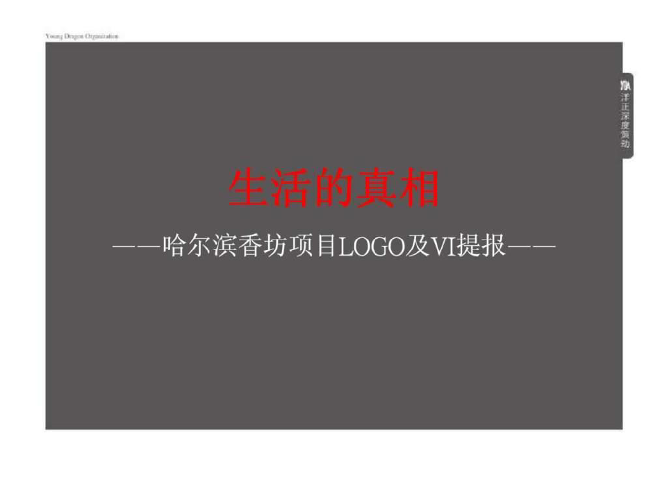 洋正广告2019年哈尔滨香坊项目logo及vi提报