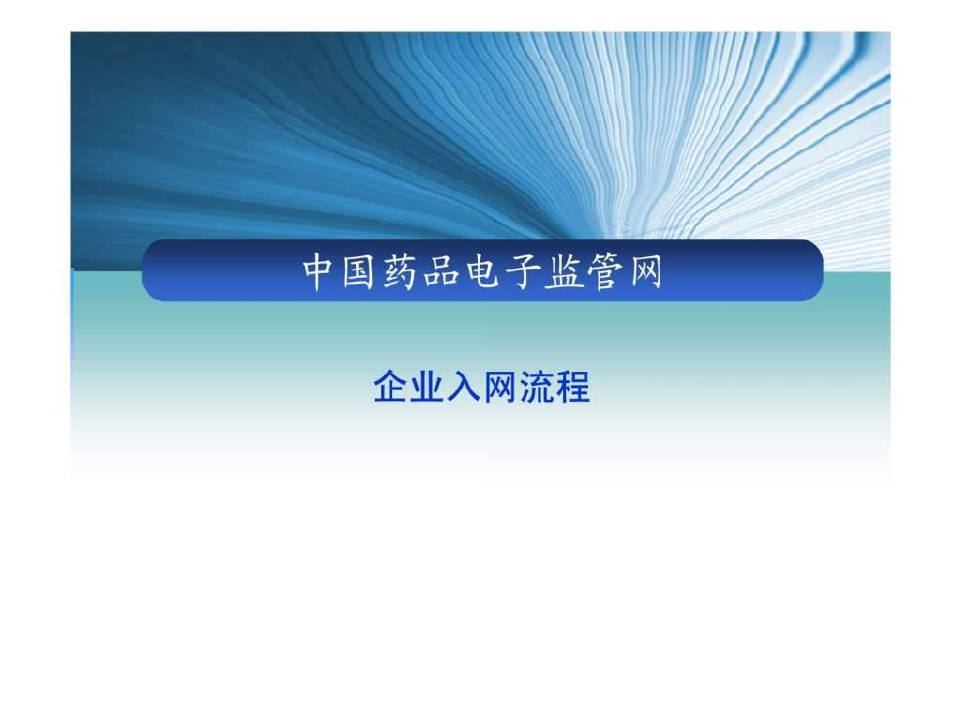 中国药品电子监管网 企业入网流程介绍_医药卫生_专业资料