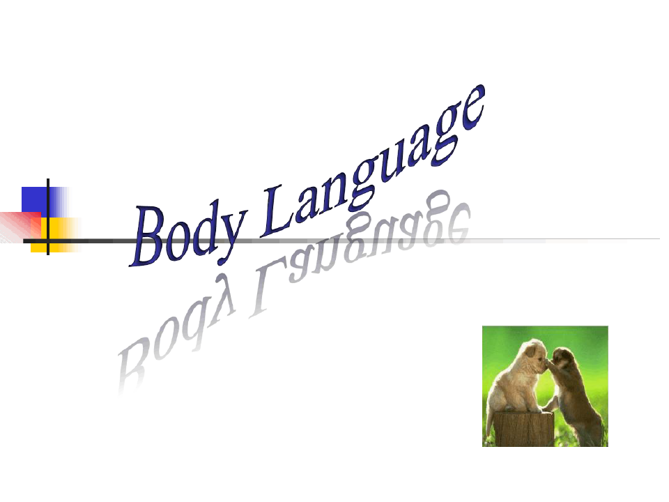 BodyLanguage身体语言英文课件