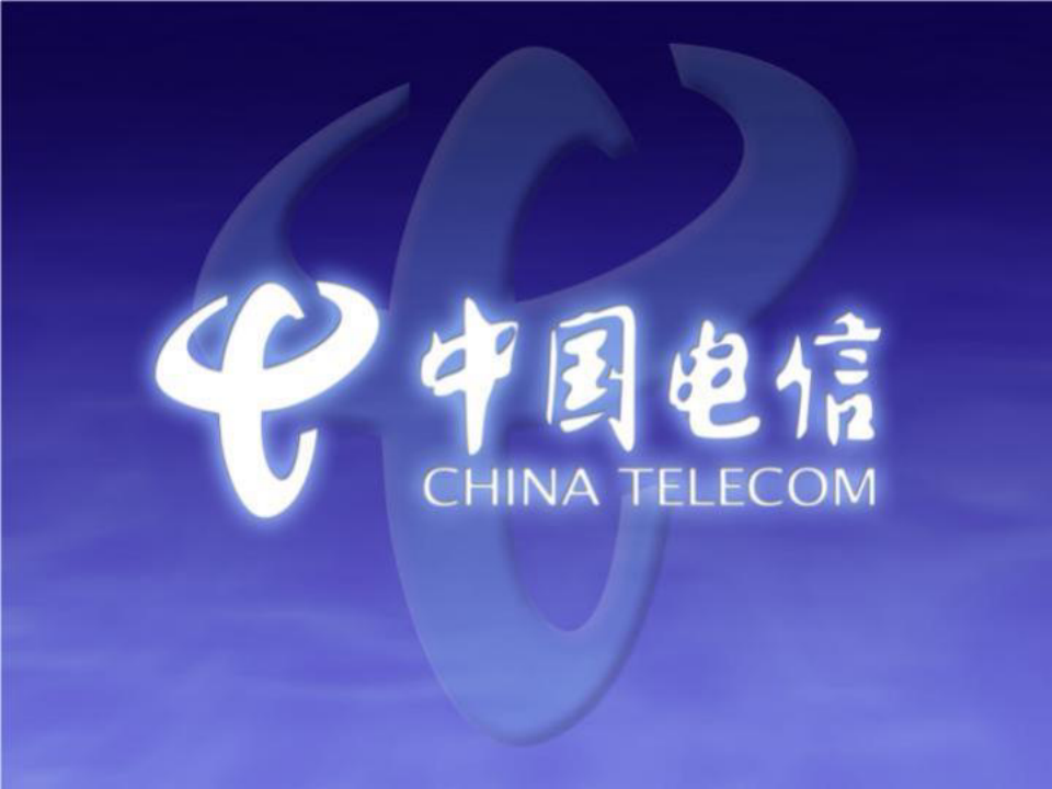 中国电信大客户营销服务策略