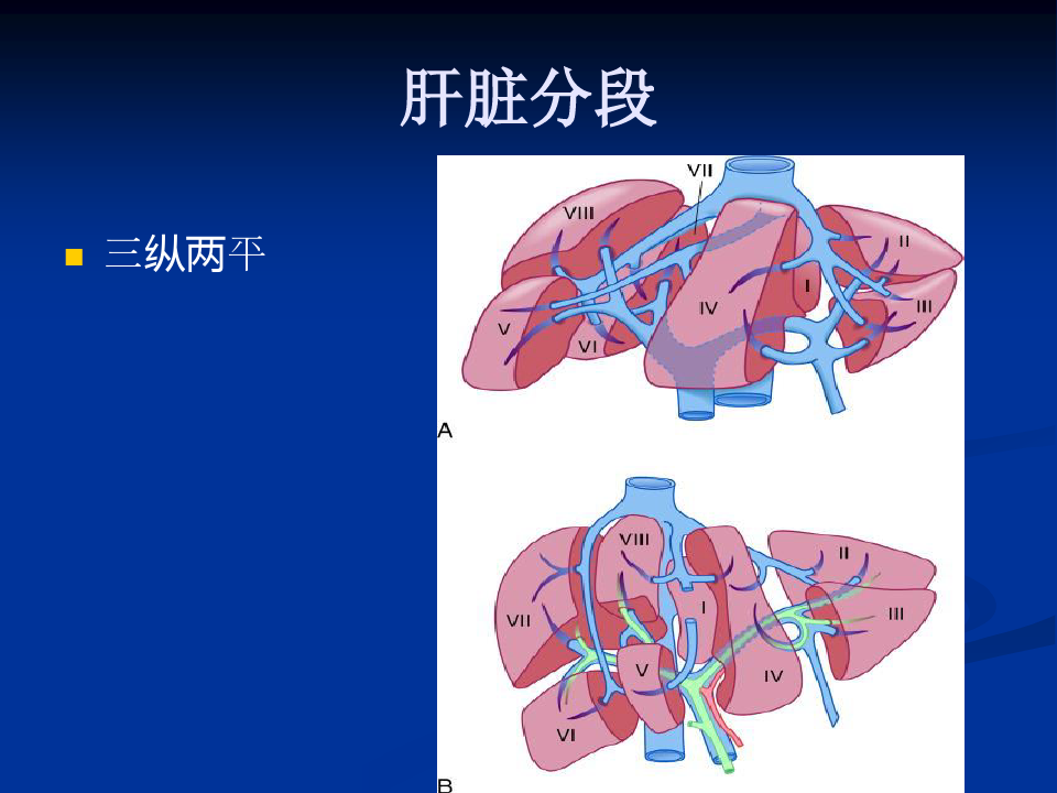 医学影像学课件：正常肝脏CT解剖
