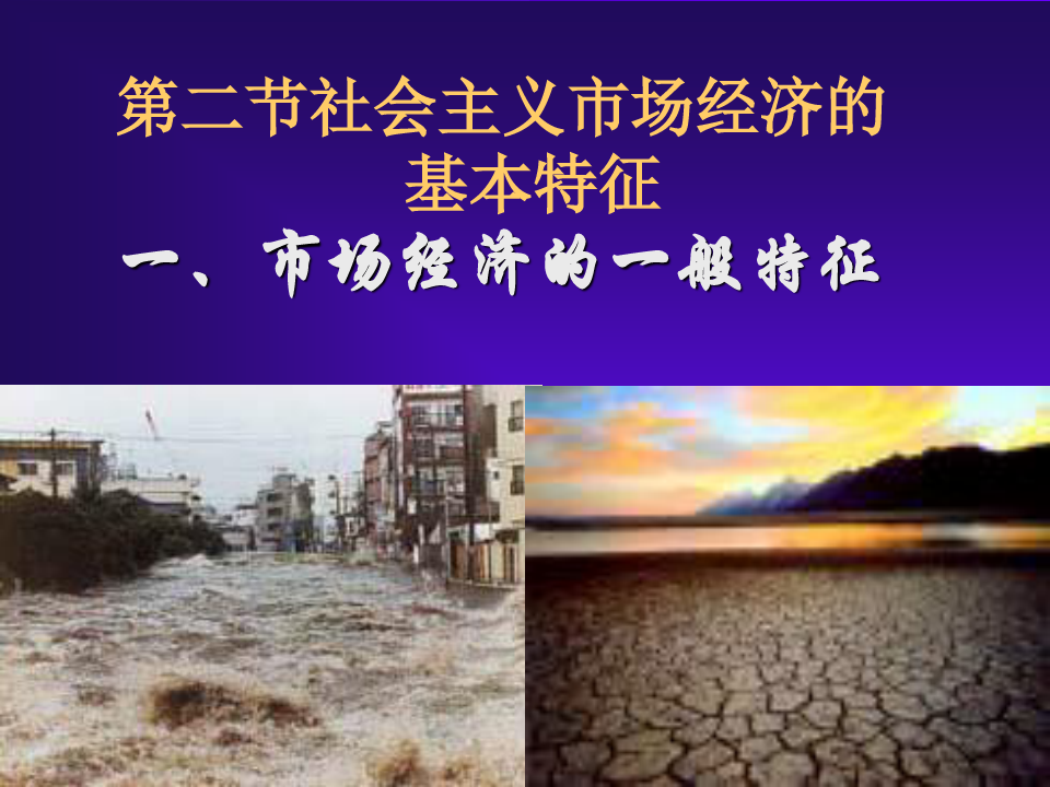 98年长江流域特大洪涝灾害PPT课件