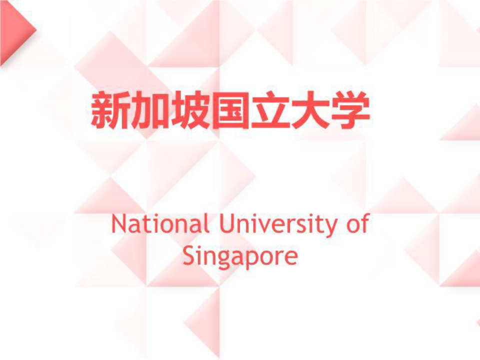 新加坡国立大学.PPT(精选)