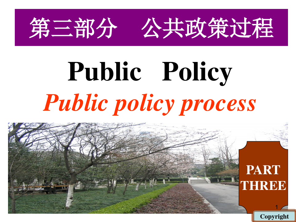 第三章 公共政策过程(修改)最终版.ppt