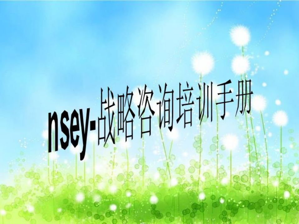 nsey-战略咨询培训手册