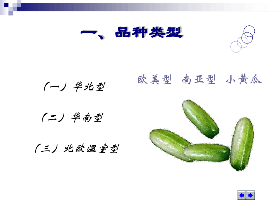 蔬菜栽培学第五章第一节黄瓜 课件