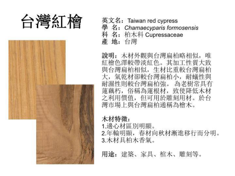 台湾地区木材介绍