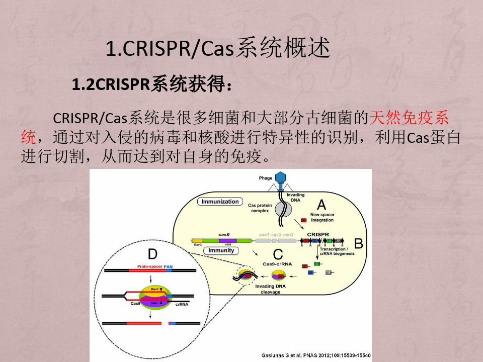 CRISPR_Cas9 基因编辑技术简介