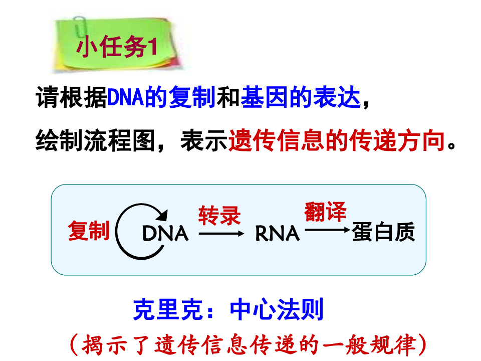 最新基因对性状的控制-(获奖课件)