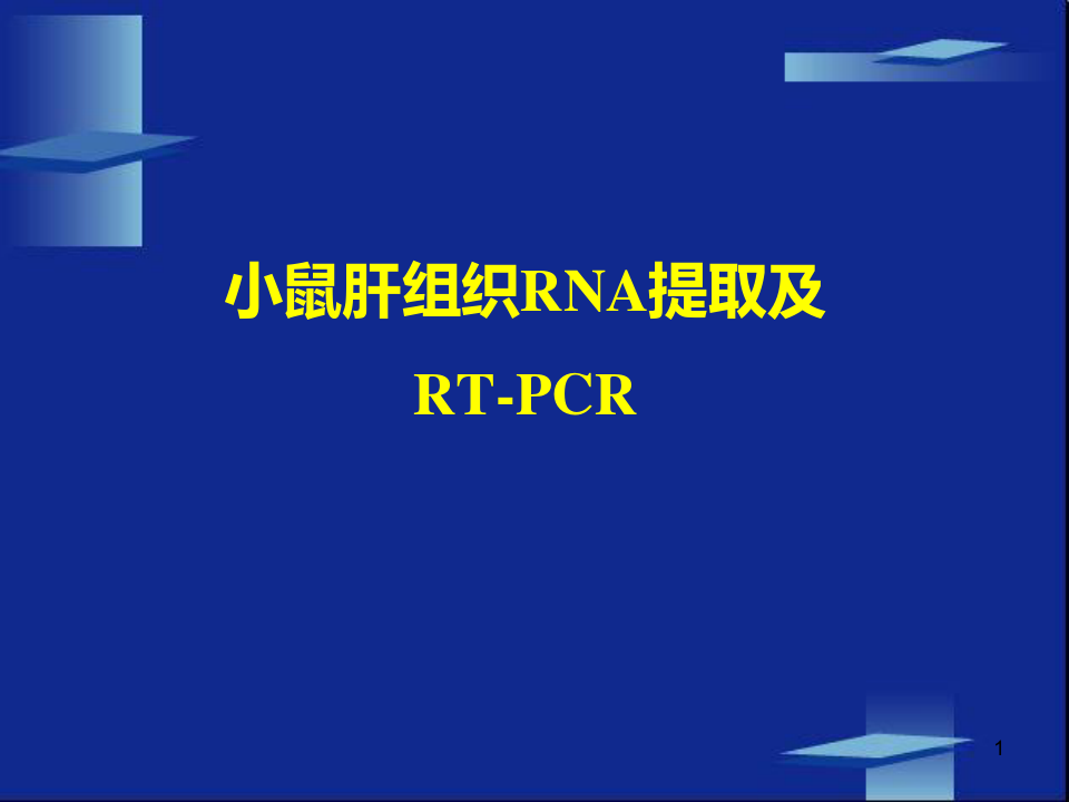 小鼠肝组织RNA提取及RT-PCR实验ppt课件