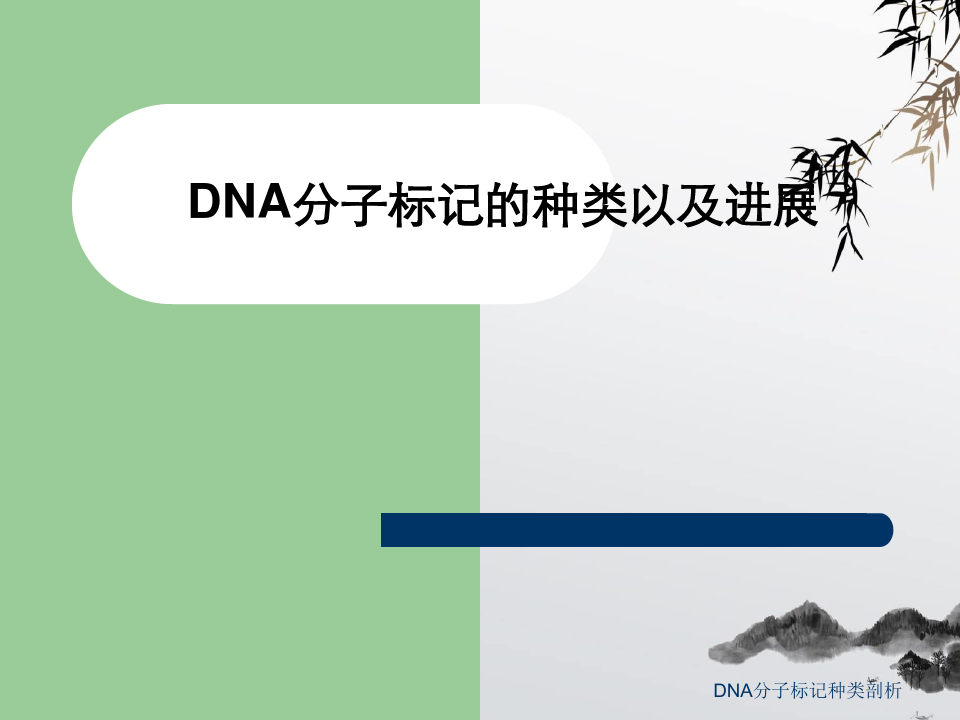 DNA分子标记种类剖析