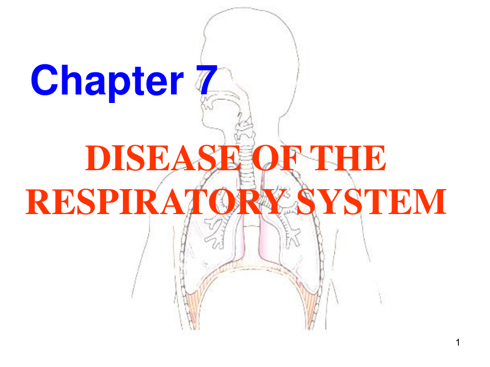 《呼吸系统疾病》PPT课件