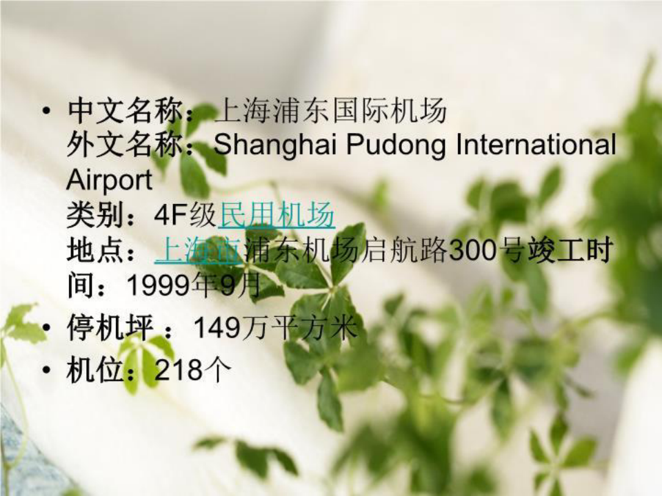 上海浦东国际机场-课件(PPT·精选)