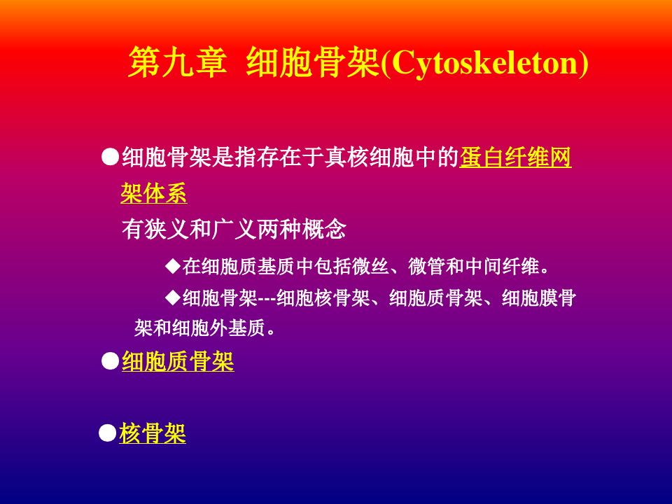 9第九章细胞骨架(cytoskeleton)