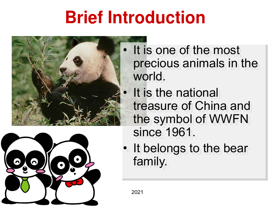 Introduction-of-Giant-Panda大熊猫英文介绍PPT课件