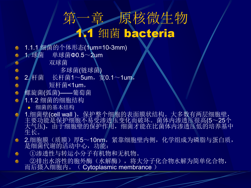 第二节细菌精品PPT课件