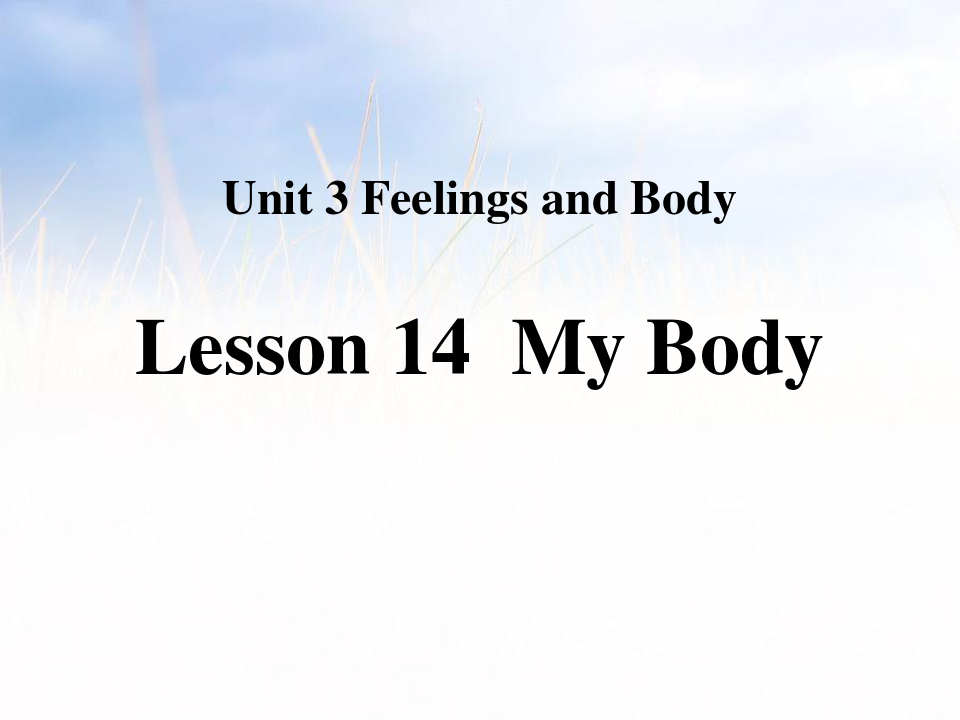 《My Body》冀教版三年级英语上册教材课件PPT(3篇)