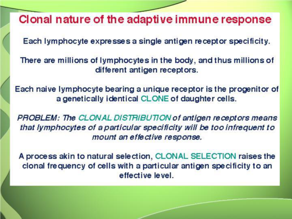 医学免疫学-09细胞免疫应答共77页文档