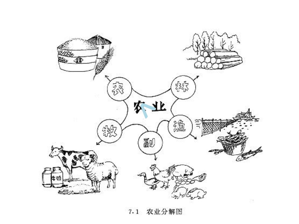 高三地理复习-中国的农业