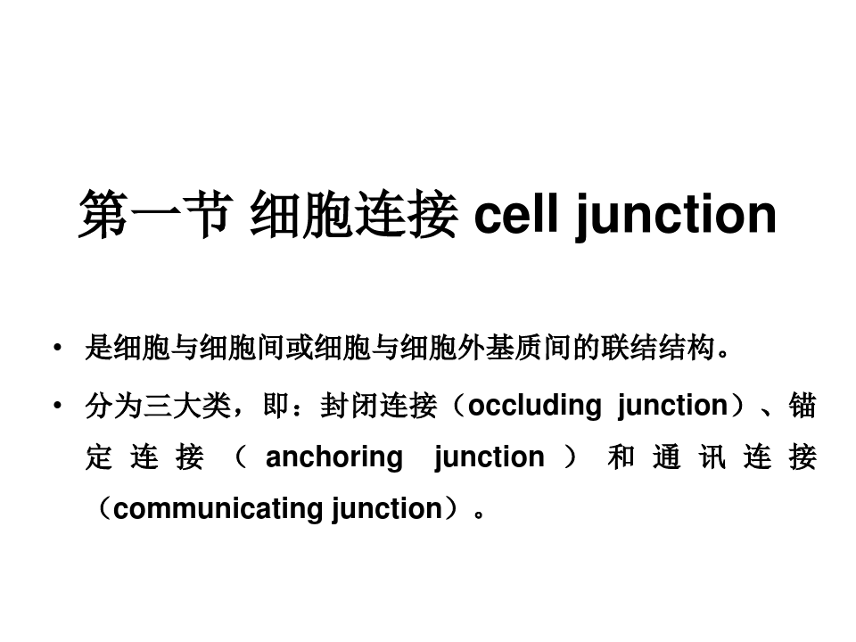 细胞生物学：15 细胞连接与细胞粘附因子