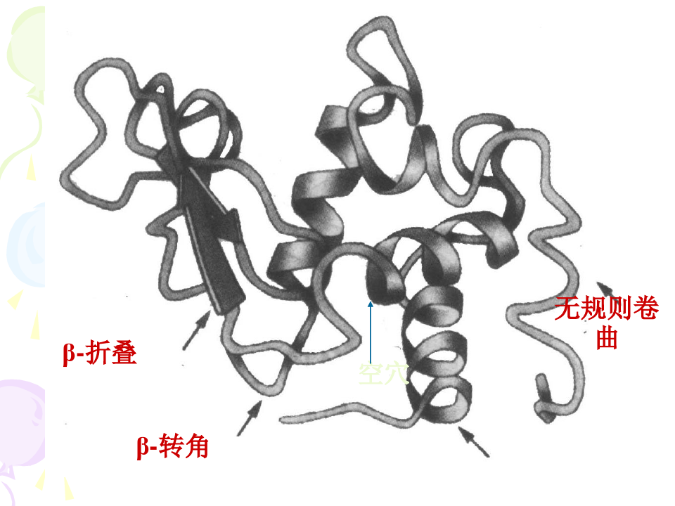 第三章-蛋白质结构
