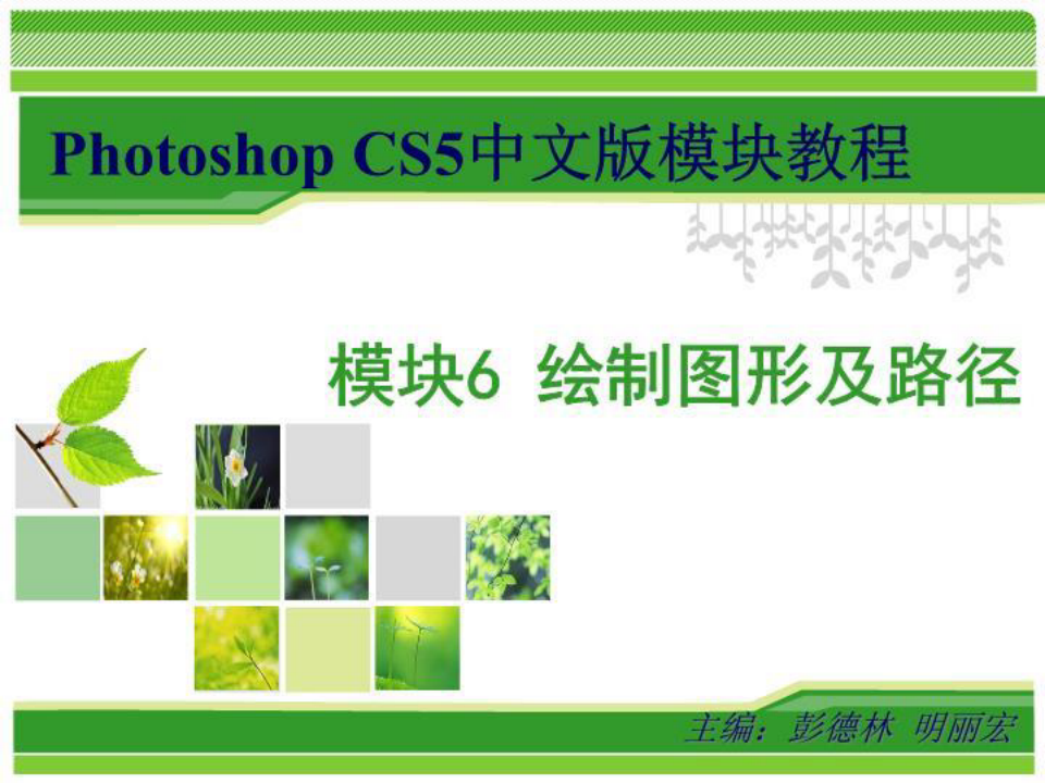 新Photoshop CS5中文版模块教程 电子教案 彭德林 模块6 绘制图形及路径 课件