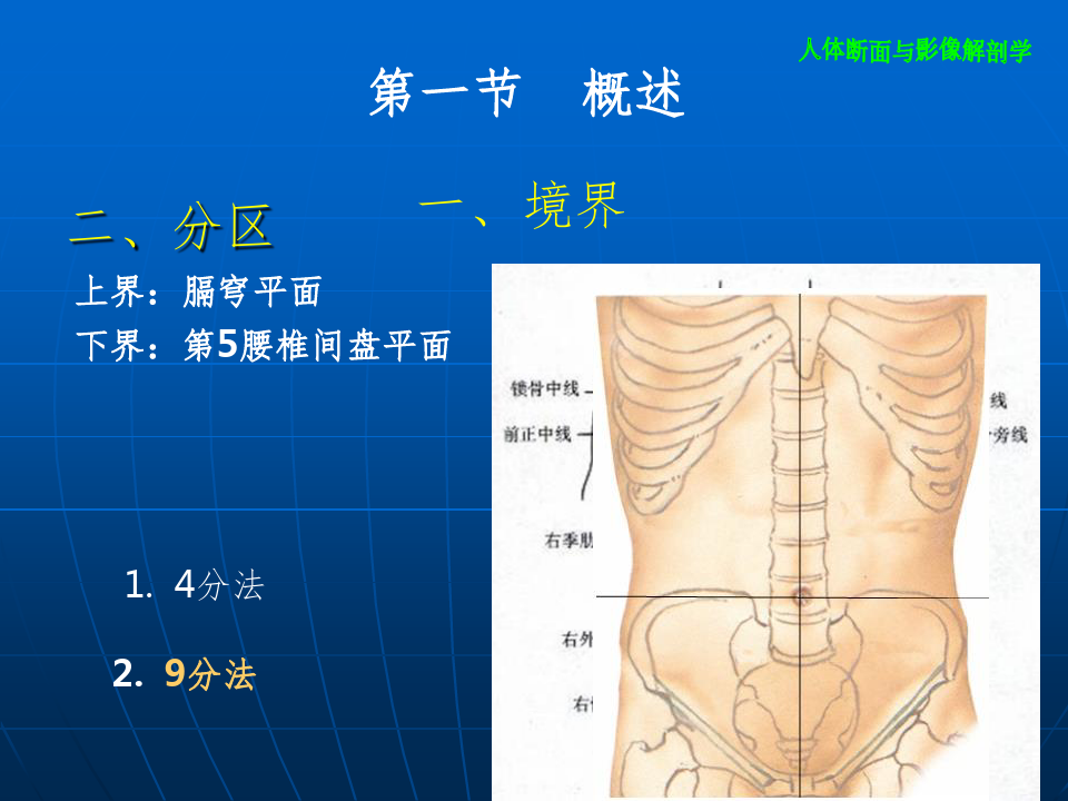腹部断层影像解剖学ppt课件