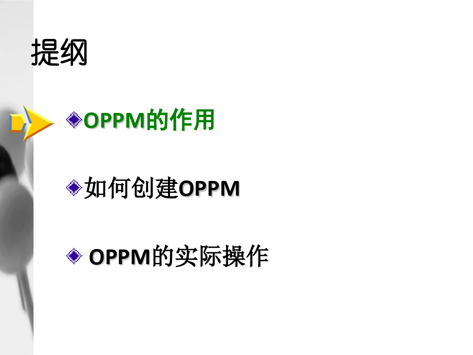 OPPM：一页纸项目管理