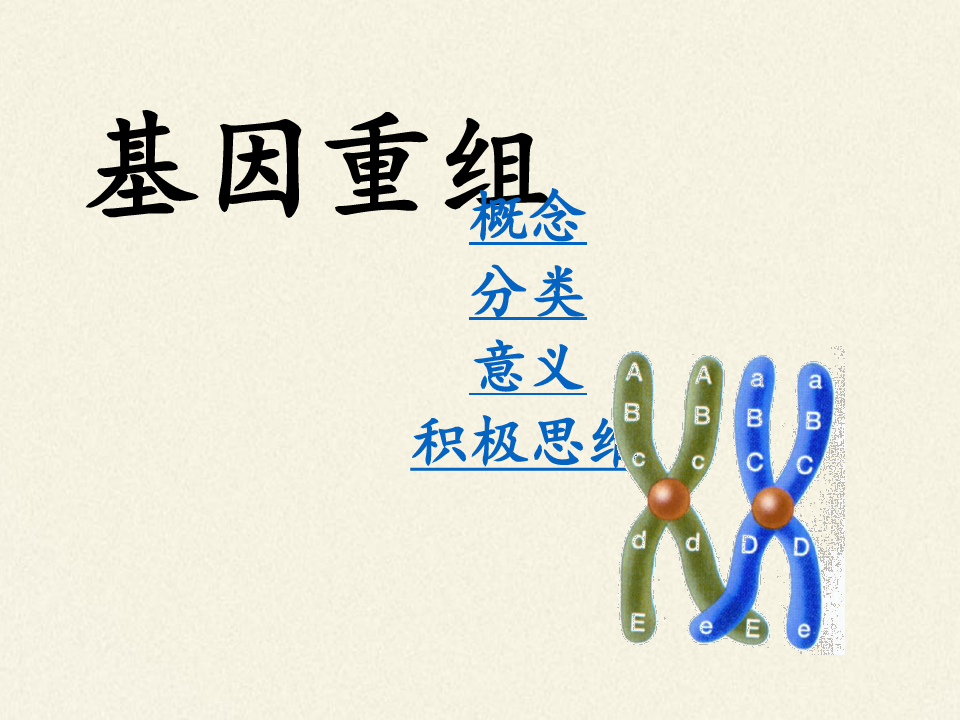 高中生物必修二课件-4.4.2基因重组-苏教版