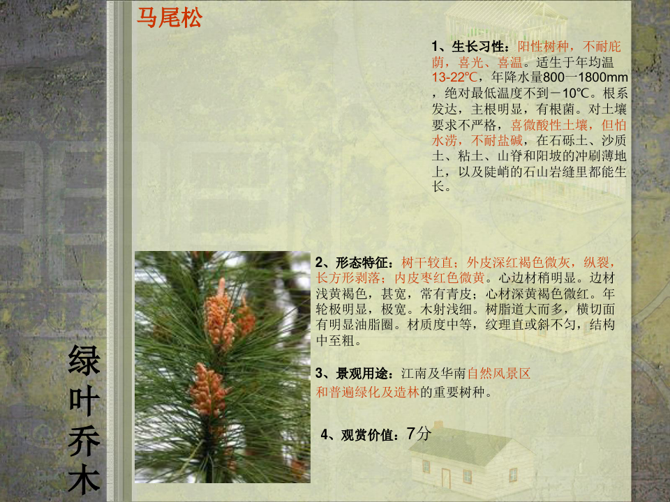 中国南方常用园林植物20种简介 共24页