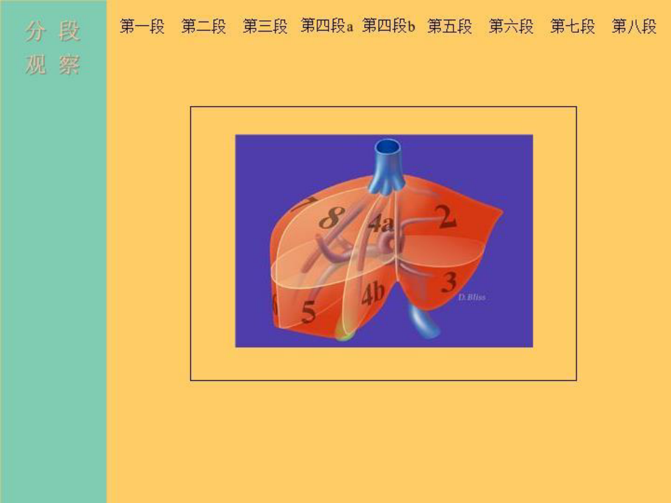 肝脏CT解剖 PPT课件