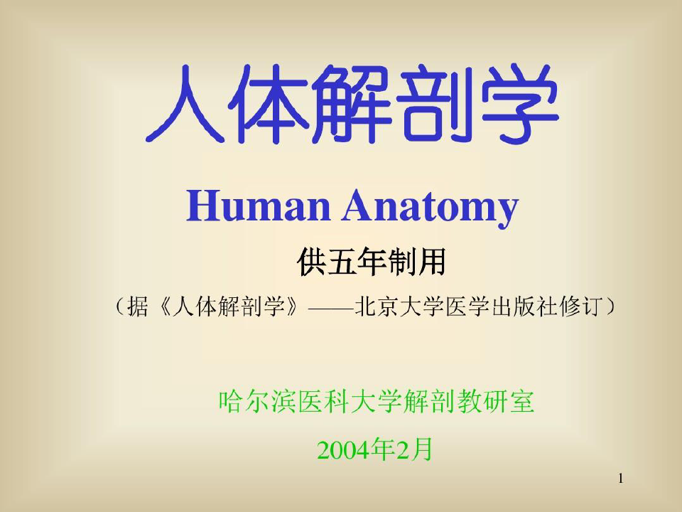 人体解剖学肌学共30页文档