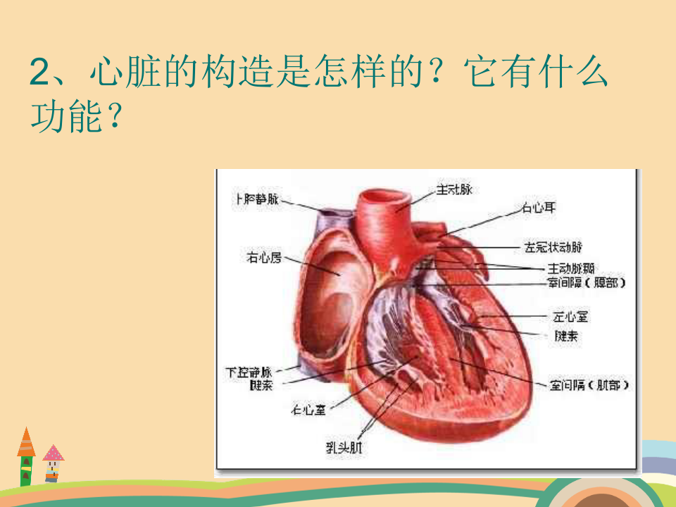 九年级生物心脏和血管PPT教学课件 (2)