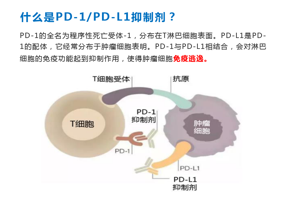 PD-1免疫抑制剂不良反应及风险管理