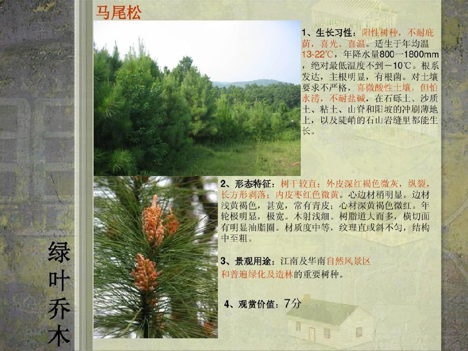 中国南方常用园林植物20种简介23页PPT