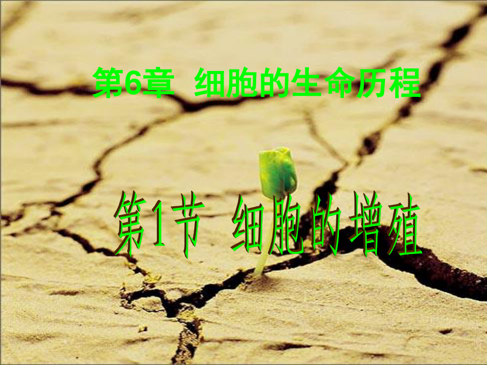 61细胞的增殖课件-甘肃省宕昌县第一中学人教版高一生物必修一(共47张PPT)