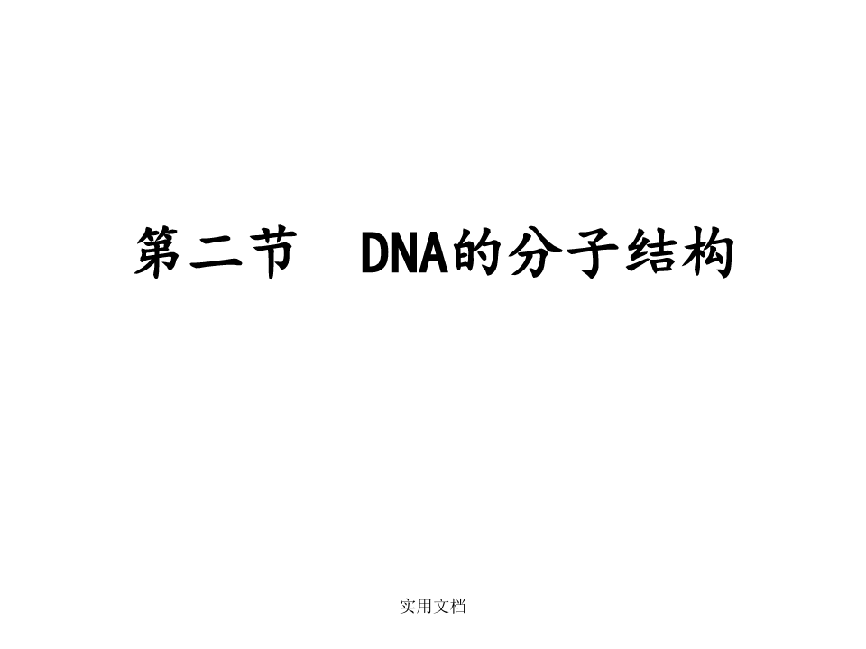 DNA的分子结构