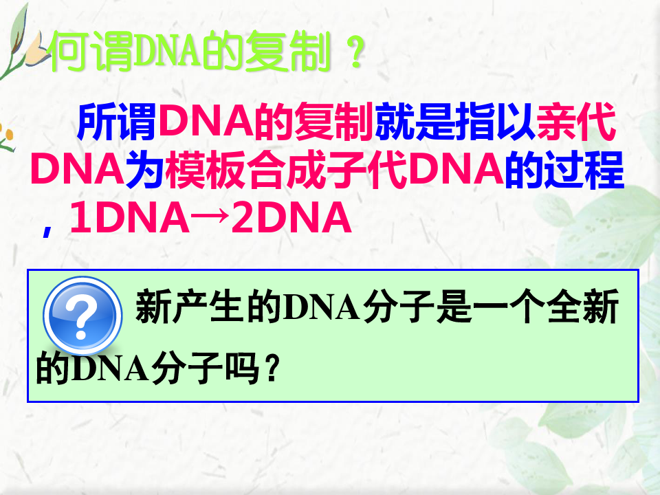 高中生物必修二DNA的复制ppt课件