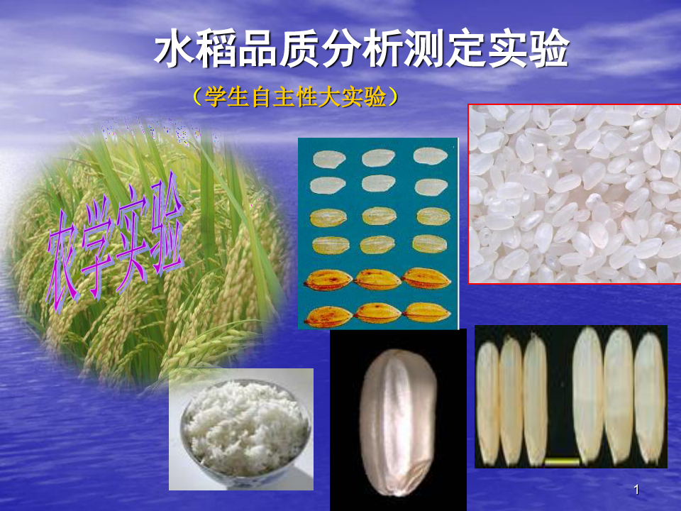 水稻品质分析测定实验(总体安排)