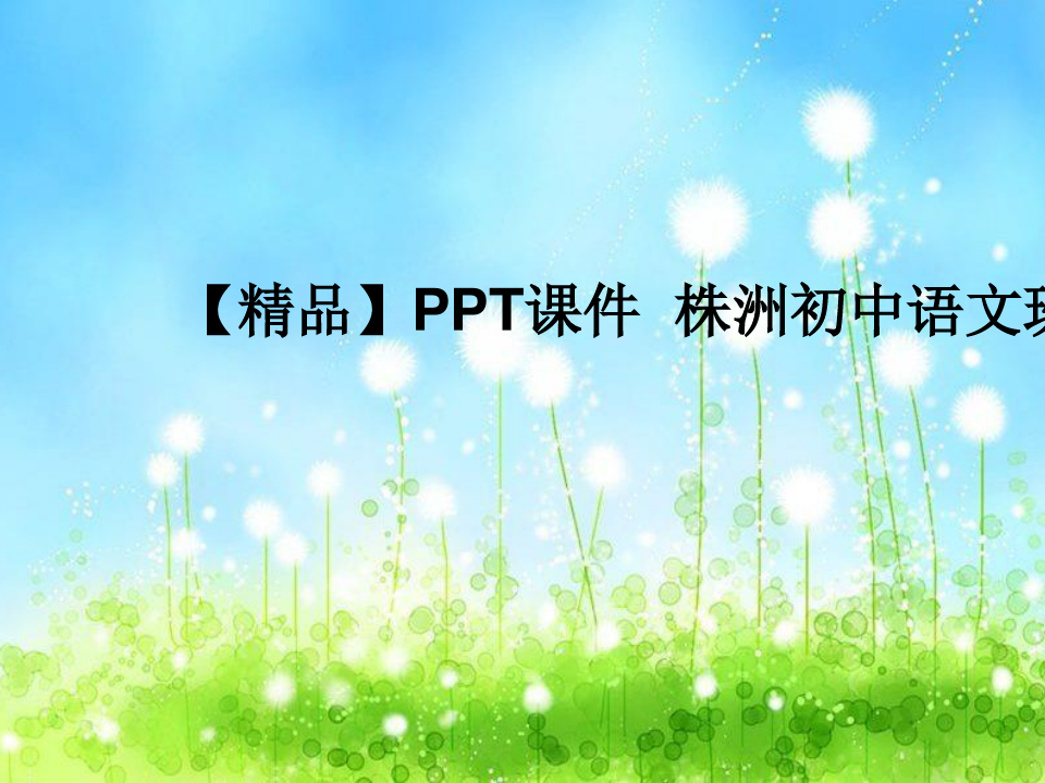 【精品】PPT课件  株洲初中语文班学习简报