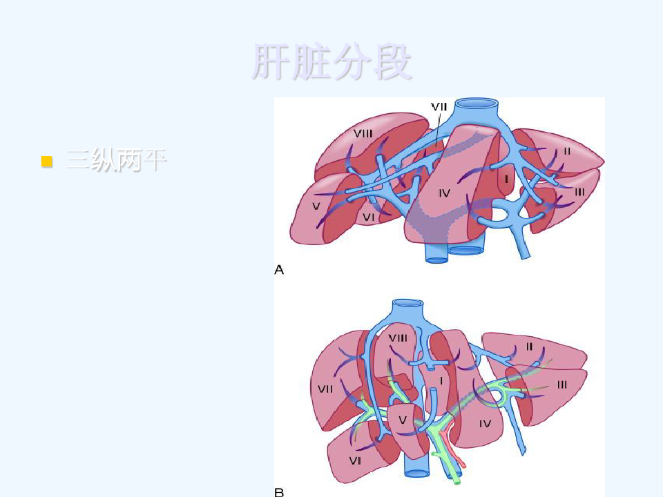 正常肝脏CT解剖