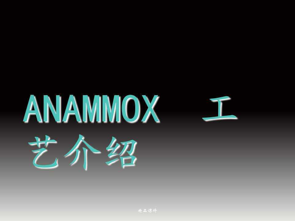 厌氧氨氧化(ANAMMOX)工艺介绍