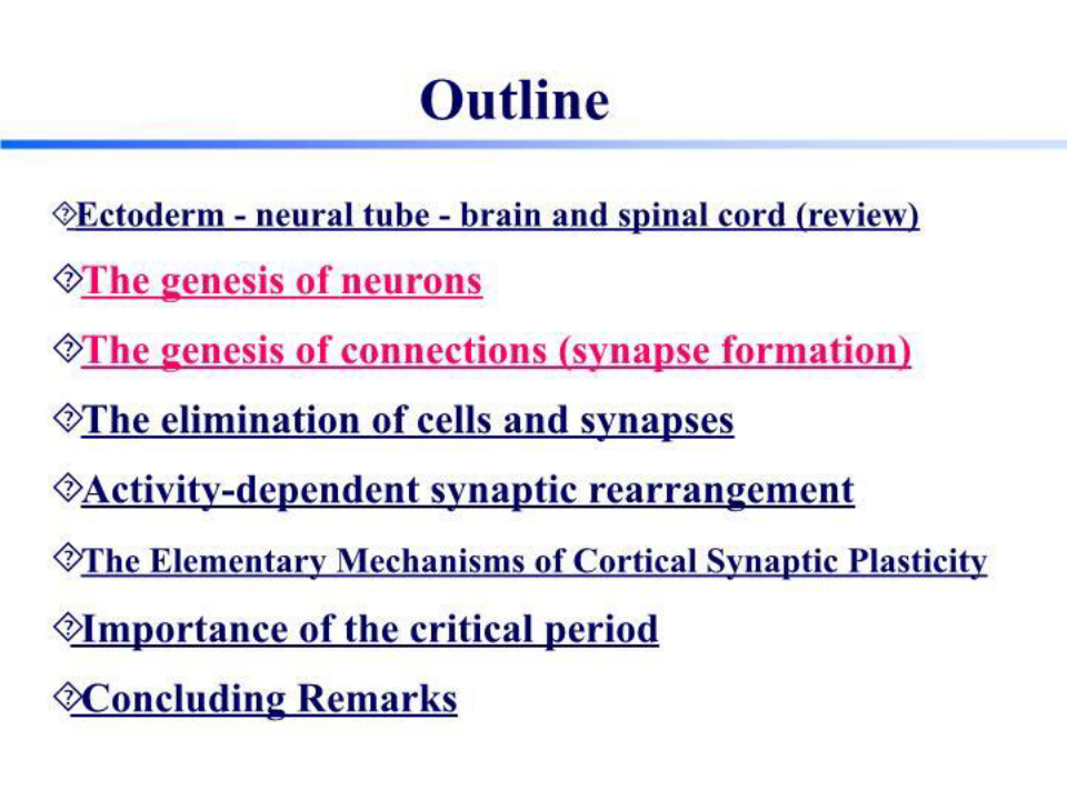 4中枢神经系统发育及其可塑性 PPT课件