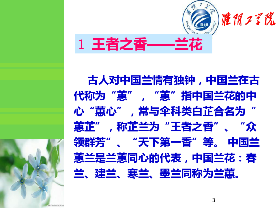 花卉欣赏与健康中国十大名花PPT课件