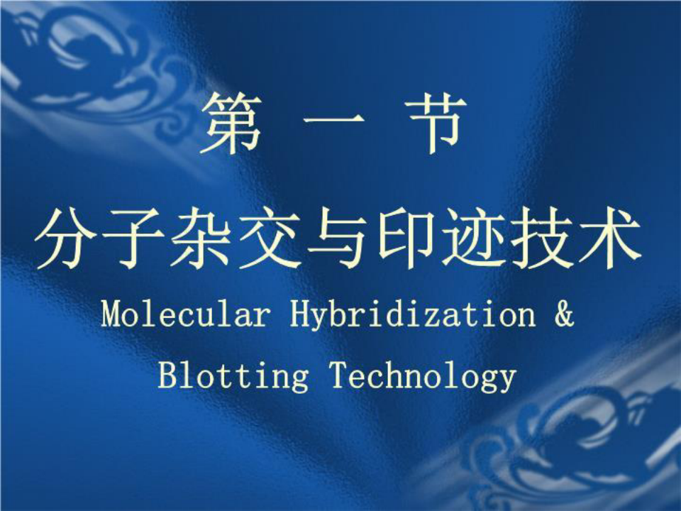 常用分子生物学技术原理及应用
