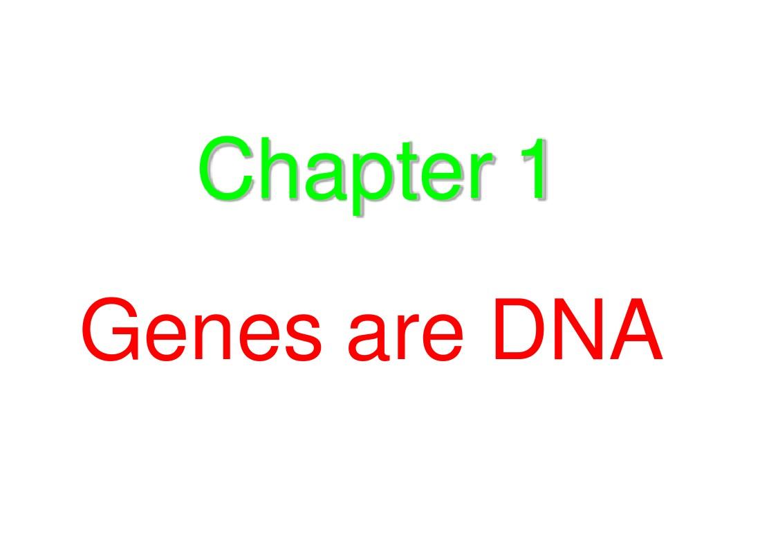 Gene8-01 Genes are DNA