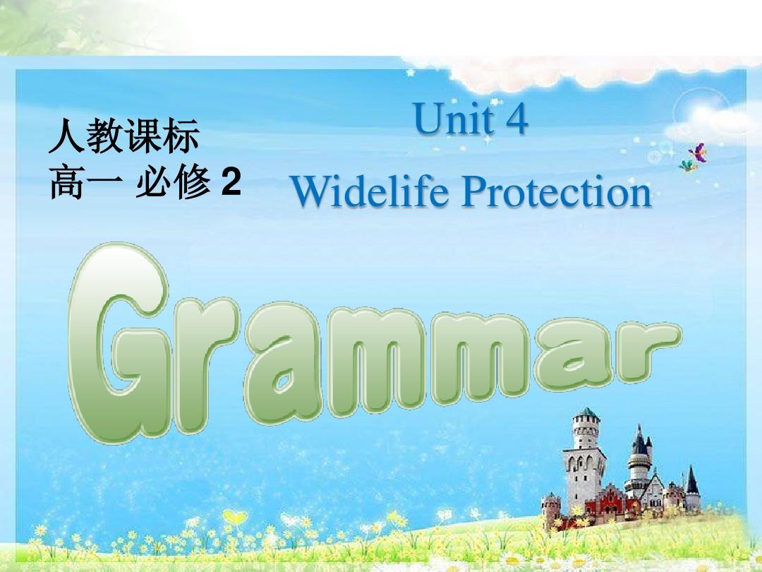 (人教新课标)高一英语必修2Unit 4  Wildlife Protection Period 3 Grammar 课件