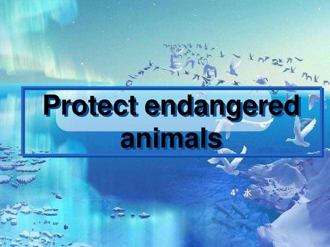 Protect endangered保护濒危动物英语PPT
