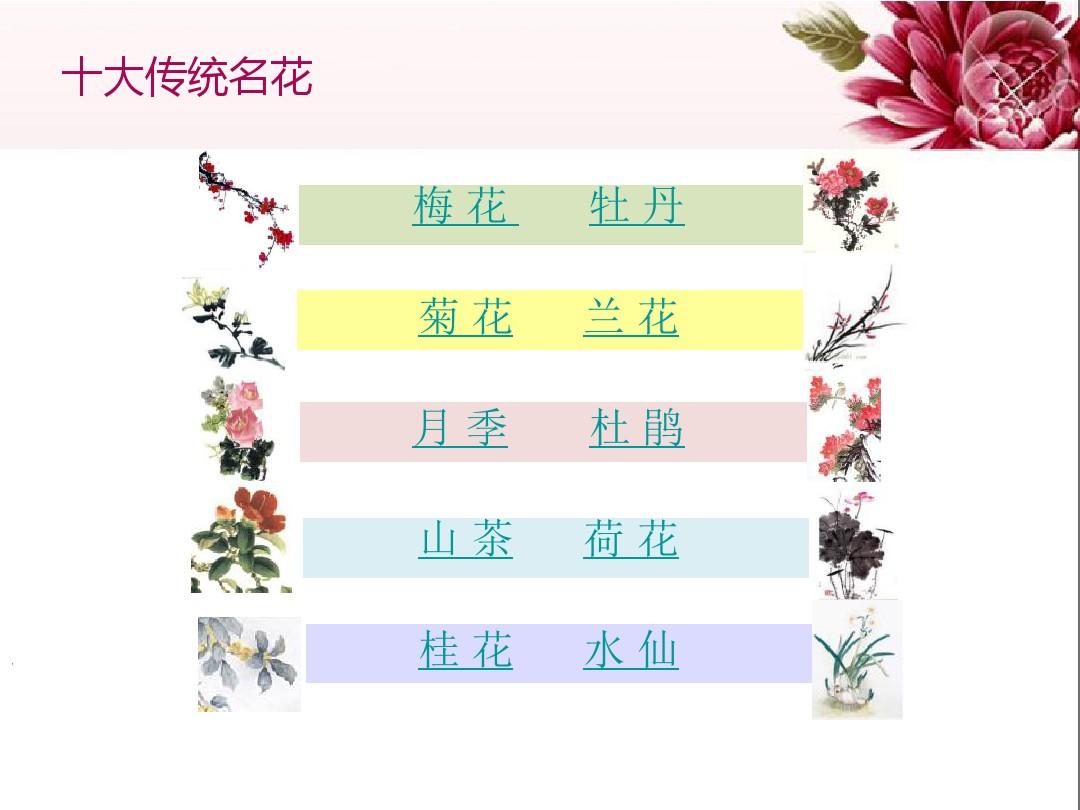 中国传统名花欣赏·月季