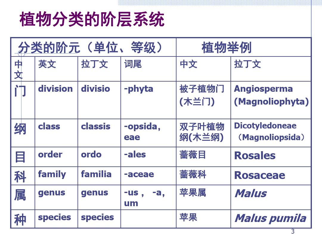 植物分类系统与分类方法课件
